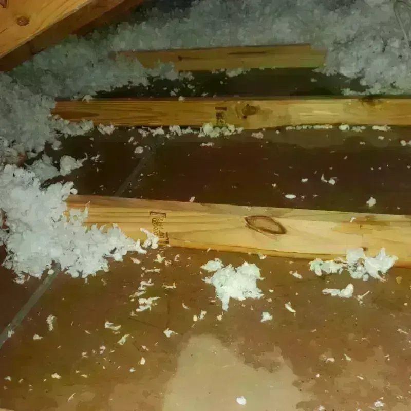 Attic Water Damage in Flandreau, SD