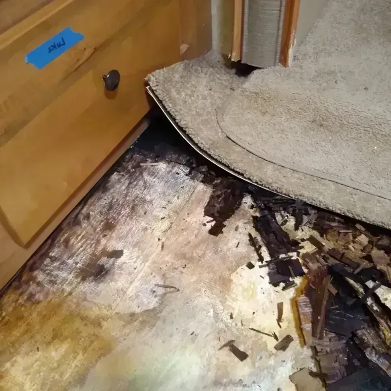 Wood Floor Water Damage in Flandreau, SD